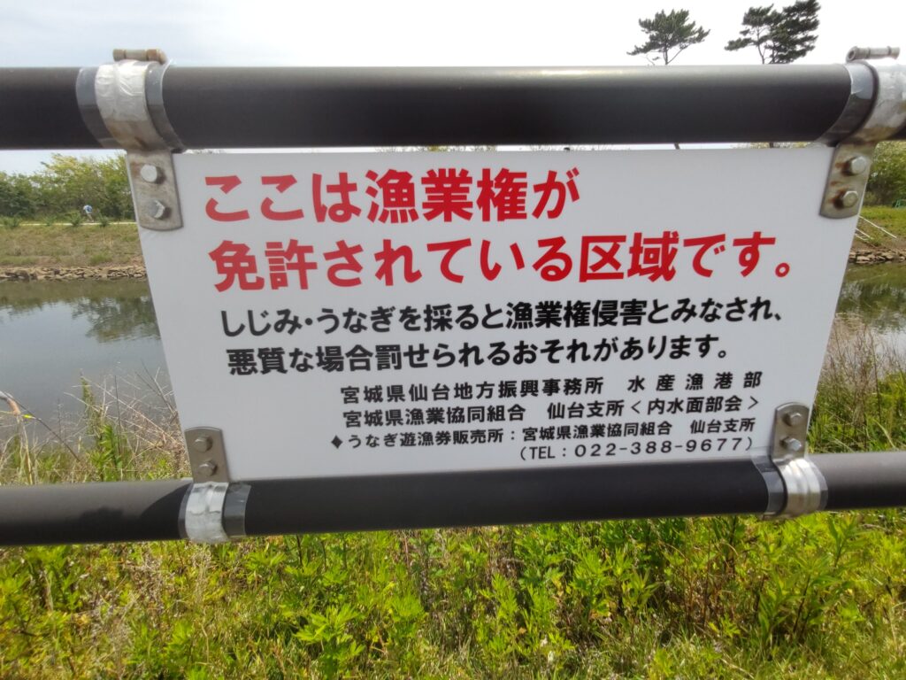 貞山堀ではウナギ釣りは禁止の看板