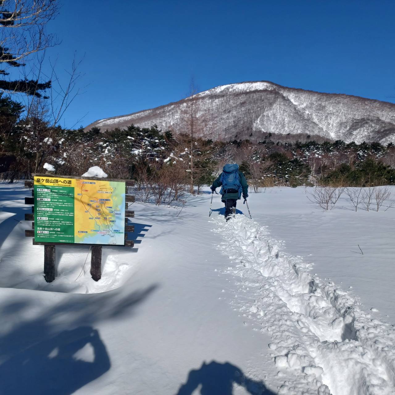 新雪の泉ヶ岳