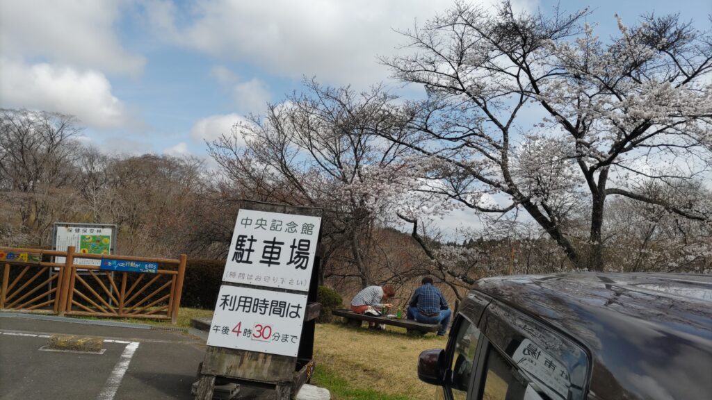 中央記念館の桜