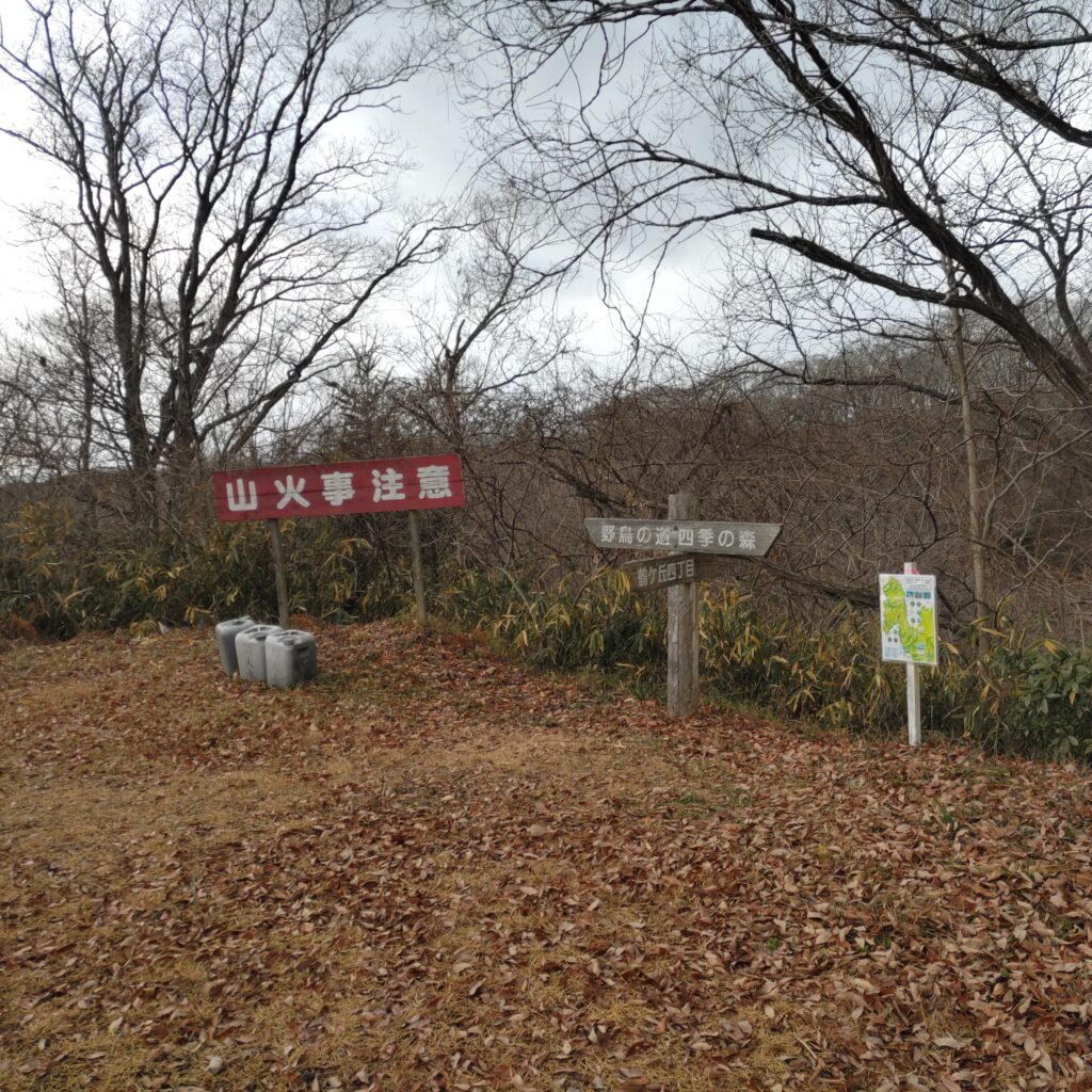 宮城県　県民の森　野鳥の道