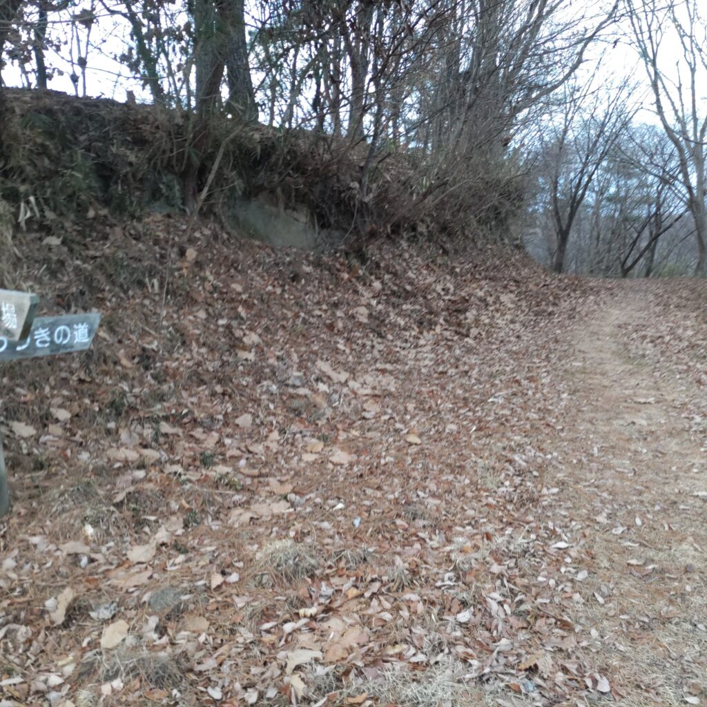 県民の森　うづき（卯月）の道