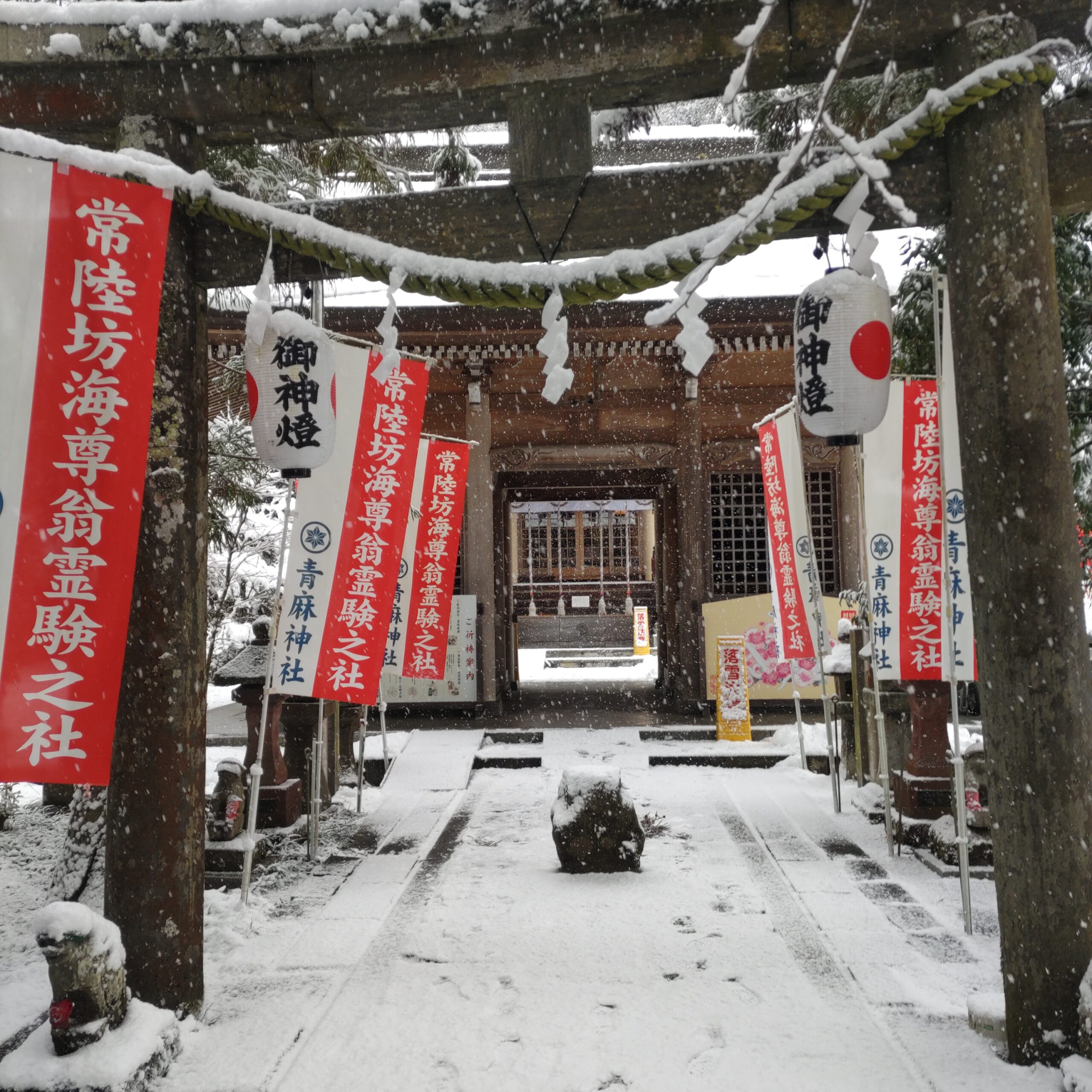 宮城県　　青麻神社　鳥居