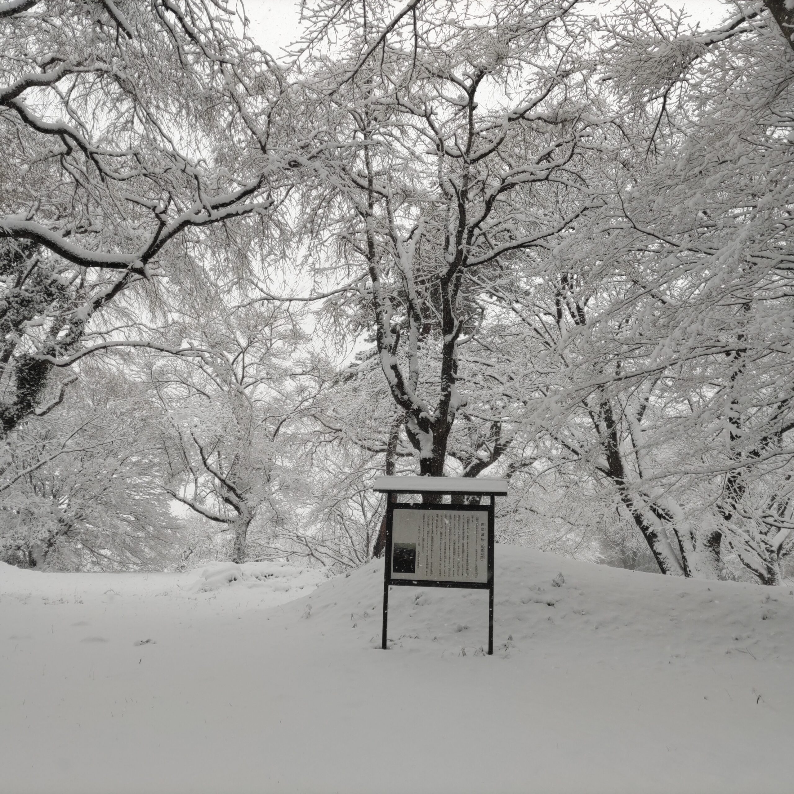 雪の岩切城跡